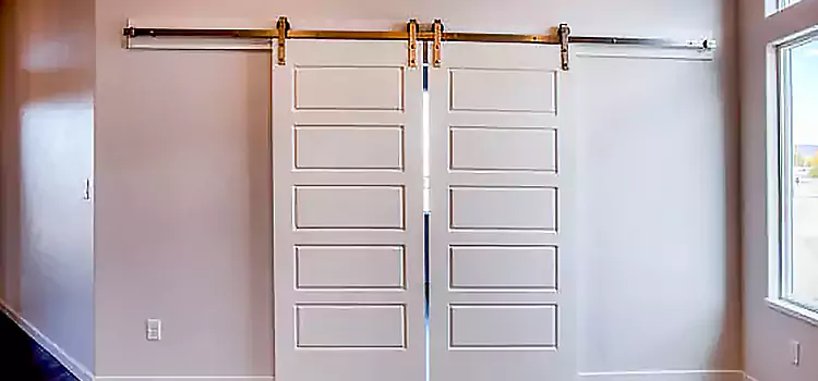 Glass Barn Door with Installation Hardware Kit Martinez